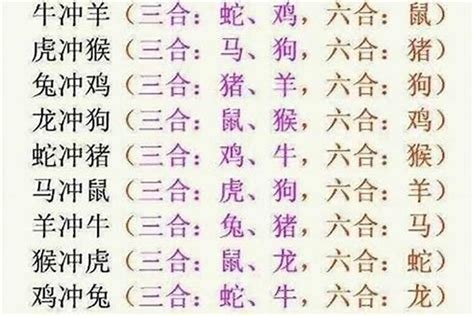 三合 六合 意思|《易经》十二生肖三合、六合解析！